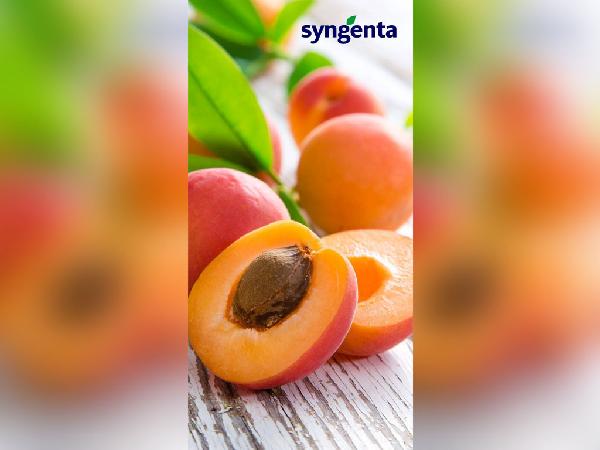 Syngenta Internal Branding 18X36 4 - Faraz Akbar