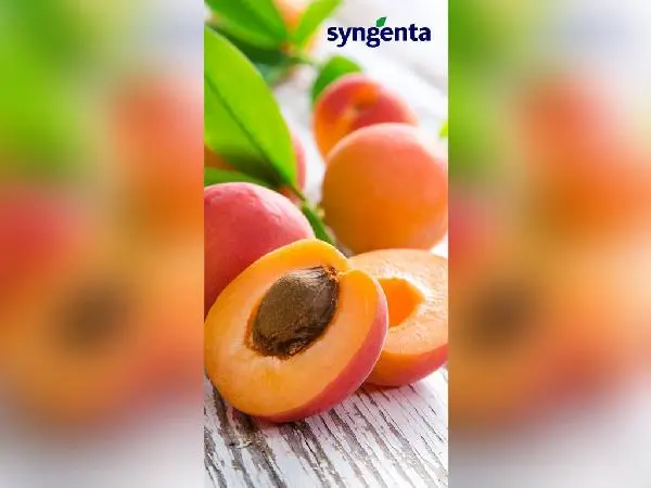Syngenta Internal Branding 18X36 4 - Faraz Akbar