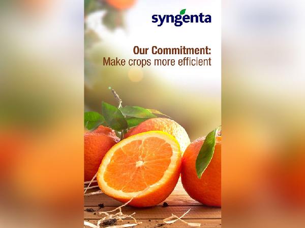 Syngenta Internal Branding 36X60 1 - Faraz Akbar