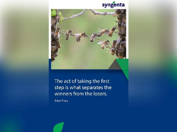 Syngenta Internal Branding 4 - Faraz Akbar