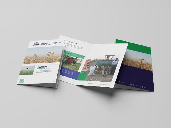 Annual Report Mockup - Faraz Akbar