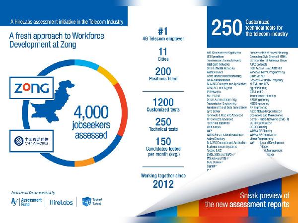 Assessment Fund Zong Infographic Design - Faraz Akbar